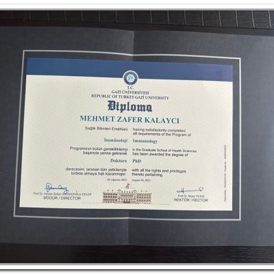 diploma35